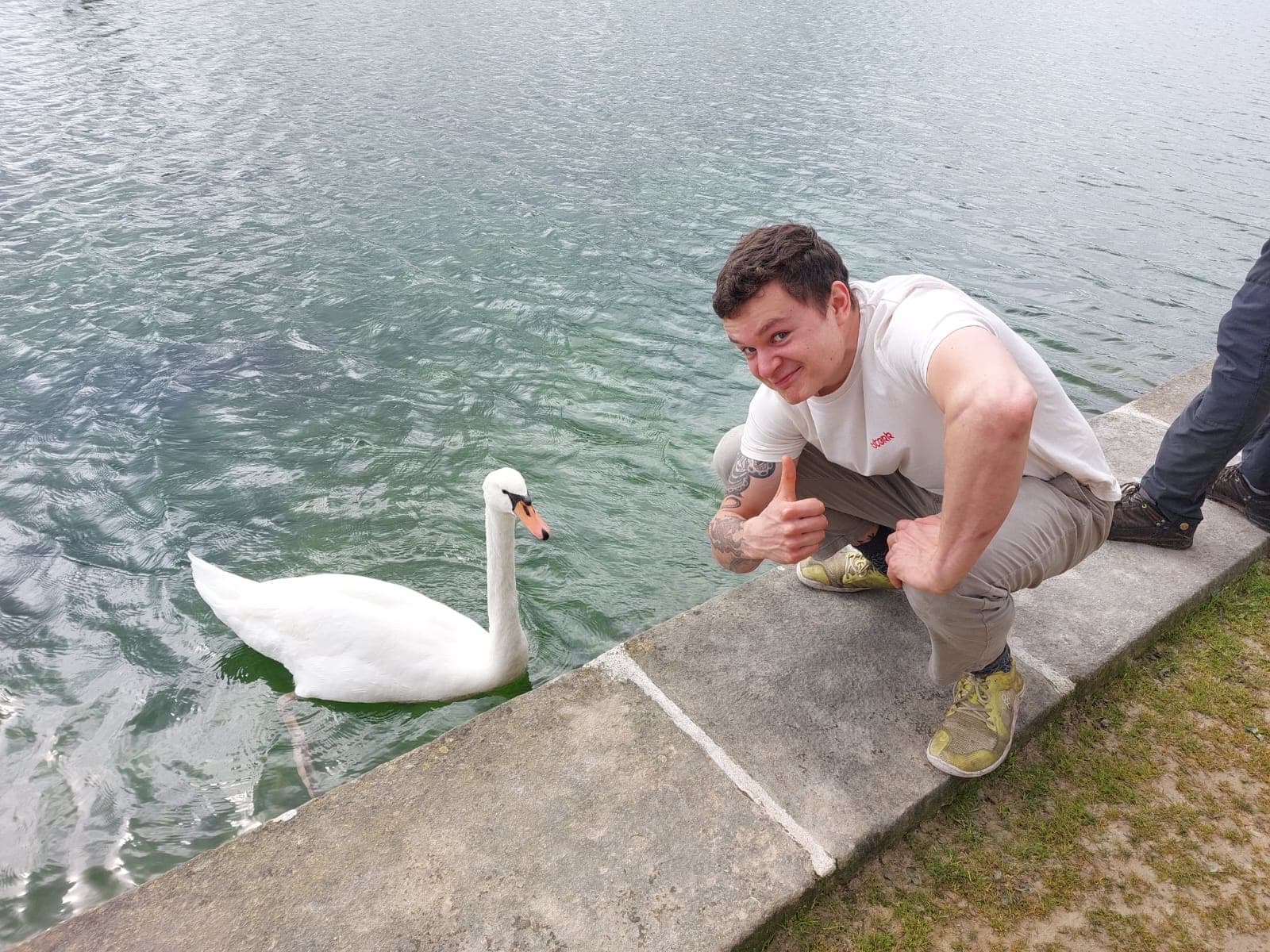 Philip aan de kade met een zwaan